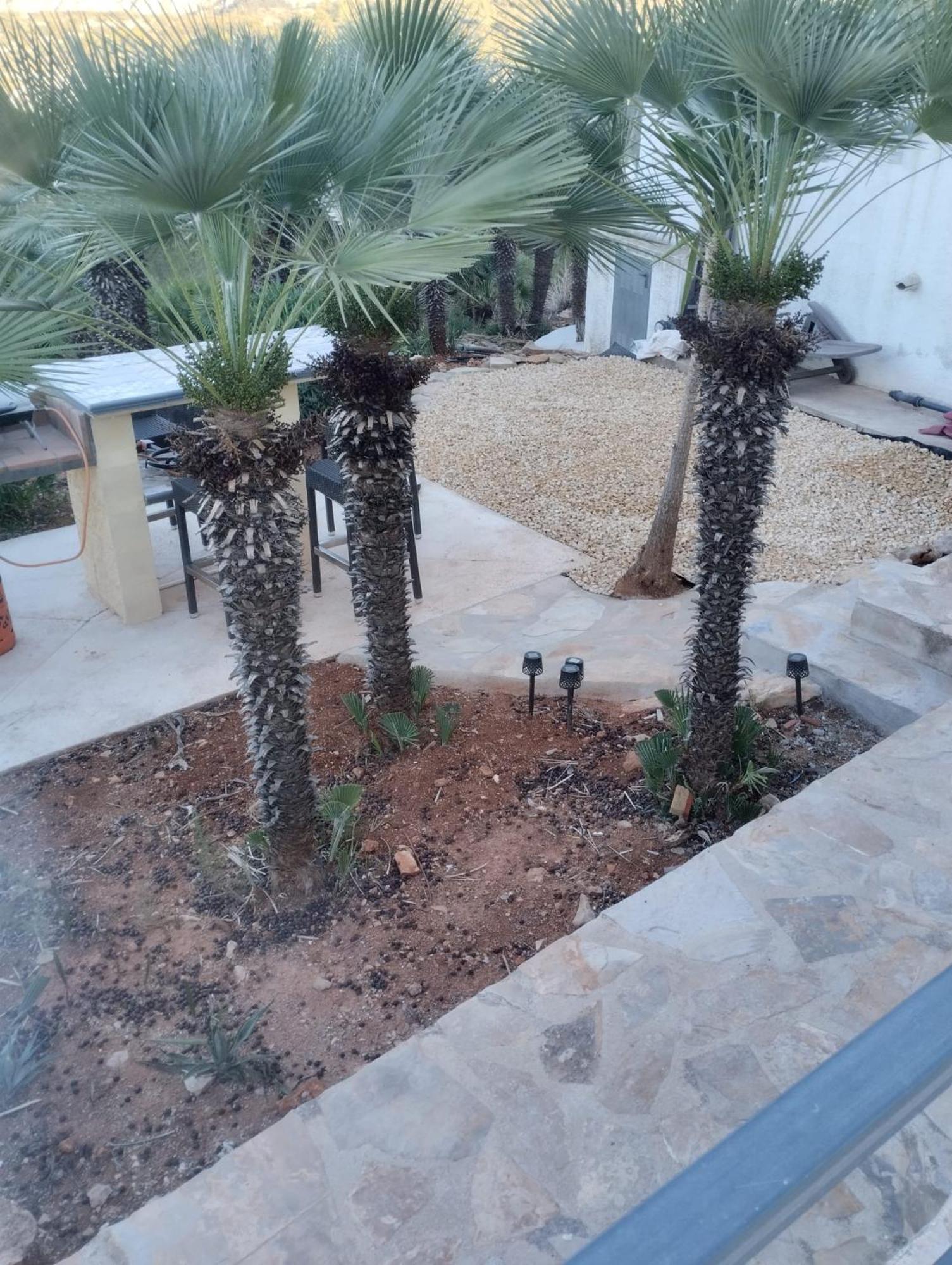 Luxe Appartement Met Tuin Benidoleig Exterior photo